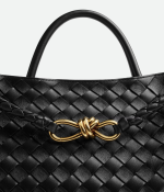 BOTTEGA VENETA MEDIUM ANDIAMO - Image 6