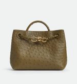 BOTTEGA VENETA SMALL ANDIAMO